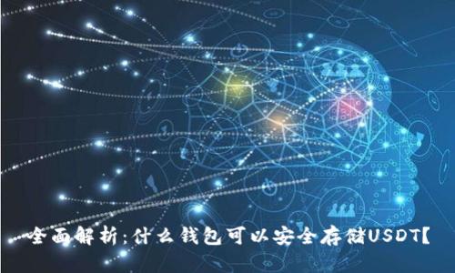 全面解析：什么钱包可以安全存储USDT？