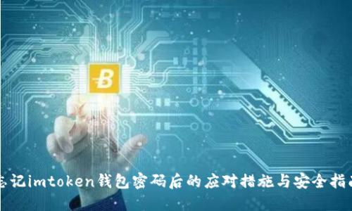 忘记imtoken钱包密码后的应对措施与安全指南