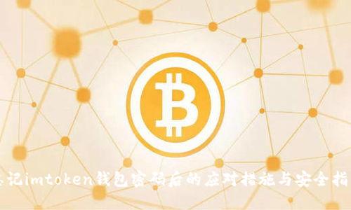 忘记imtoken钱包密码后的应对措施与安全指南