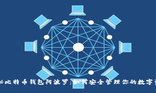 揭秘比特币钱包阿波罗：如何安全管理你的数字资产