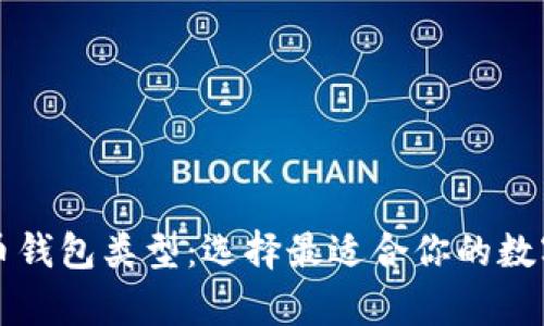 深入解读比特币钱包类型：选择最适合你的数字资产存储方案