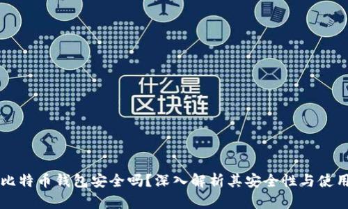 实体比特币钱包安全吗？深入解析其安全性与使用方法