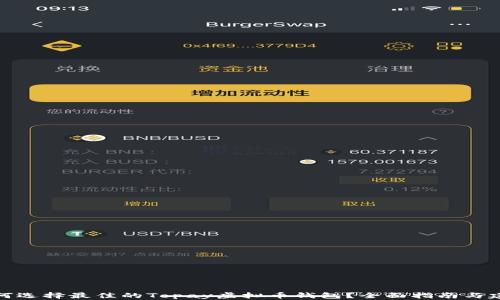 
如何选择最佳的Topay虚拟币钱包？全面指南与建议