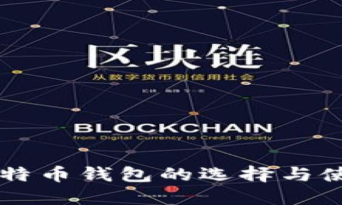国内比特币钱包的选择与使用指南