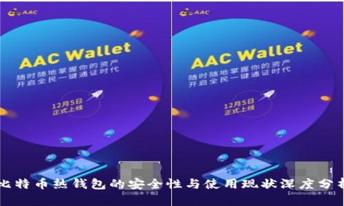 比特币热钱包的安全性与使用现状深度分析