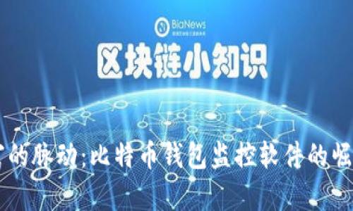 掌握财富的脉动：比特币钱包监控软件的崛起与应用
