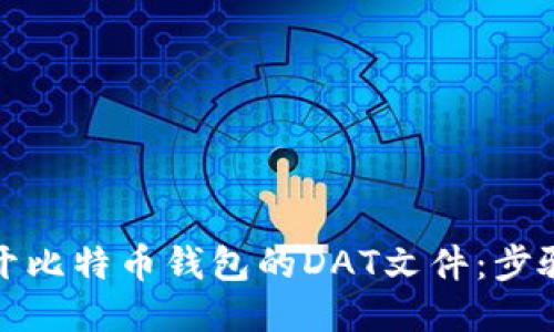 如何打开比特币钱包的DAT文件：步骤与技巧