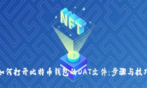 如何打开比特币钱包的DAT文件：步骤与技巧