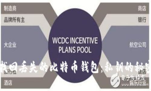 如何找回丢失的比特币钱包：私钥的秘密武器