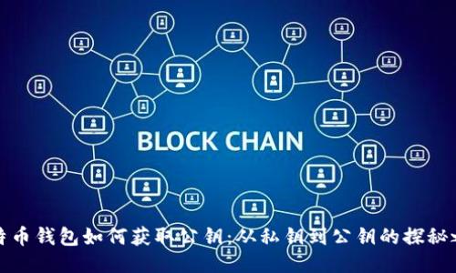 比特币钱包如何获取公钥：从私钥到公钥的探秘之旅