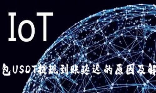 麦子钱包USDT提现到账延迟的原因及解决方案