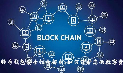 比特币钱包安全性全解析：如何保护您的数字资产