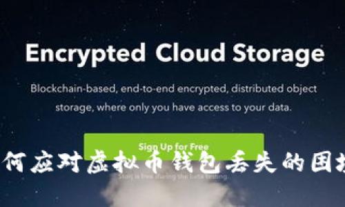 如何应对虚拟币钱包丢失的困境？