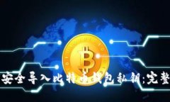 如何安全导入比特币钱包