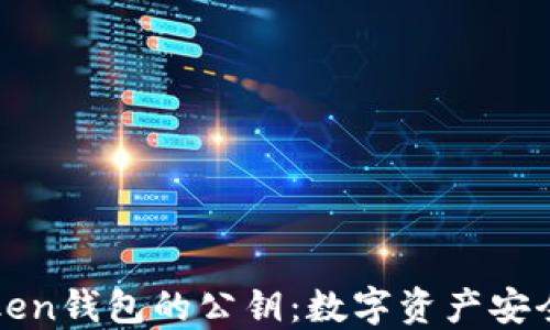 
探索imToken钱包的公钥：数字资产安全的第一步