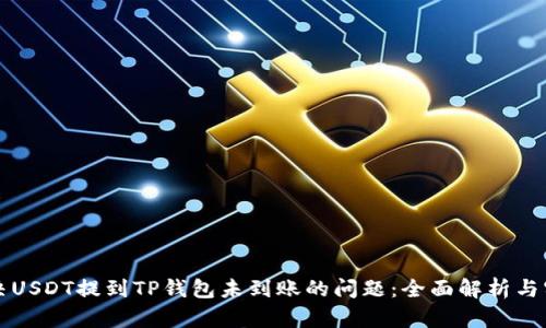 如何解决USDT提到TP钱包未到账的问题：全面解析与实用指南