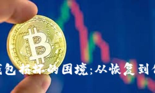 破解imtoken冷钱包损坏的困境：从恢复到保护你的数字资产