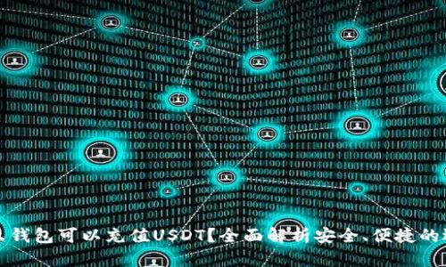 什么钱包可以充值USDT？全面解析安全、便捷的选项
