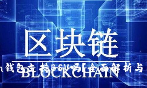 ImToken钱包支持BSV吗？全面解析与用户指南