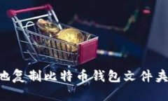 如何安全地复制比特币钱