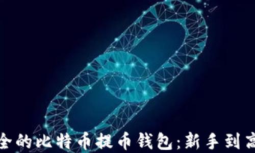 
如何选择安全的比特币提币钱包：新手到高手的全攻略