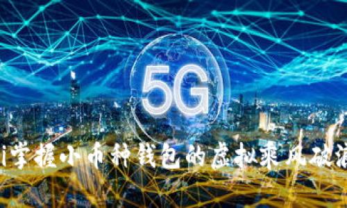 ziaoti掌握小币种钱包的虚拟乘风破浪之旅