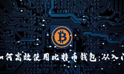 俄罗斯如何高效使用比特币钱包：从入门到精通