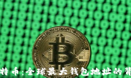 
揭秘比特币：全球最大钱包地址的背后故事