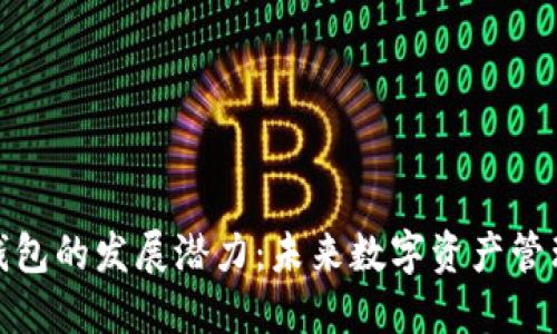 区块链钱包的发展潜力：未来数字资产管理的关键