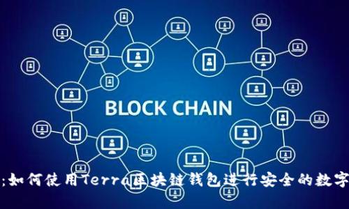 全面解析：如何使用Terra区块链钱包进行安全的数字资产管理