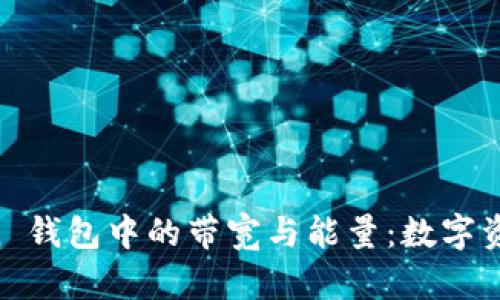 解读 ImToken 钱包中的带宽与能量：数字资产管理的关键