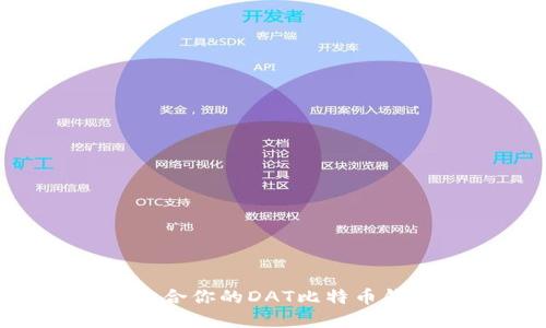 如何选择最适合你的DAT比特币钱包：全面指南