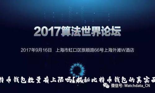 比特币钱包数量有上限吗？揭秘比特币钱包的真实面貌
