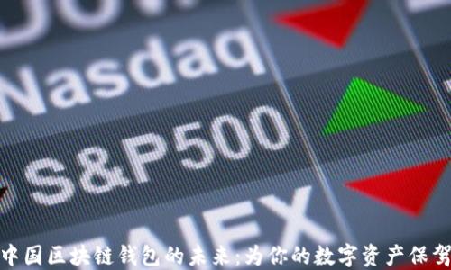 
探索中国区块链钱包的未来：为你的数字资产保驾护航