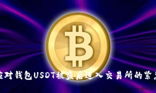 如何应对钱包USDT被盗后进入交易所的紧急情况