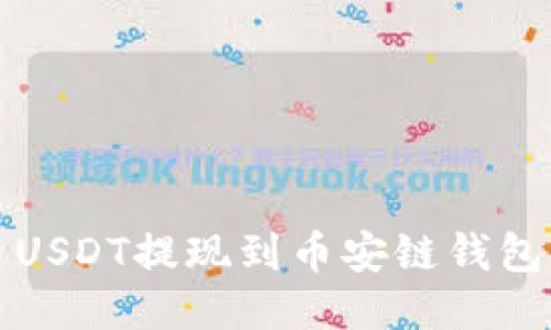 如何将欧易USDT提现到币安链钱包的详尽指南