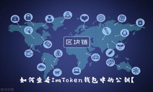 如何查看ImToken钱包中的公钥？