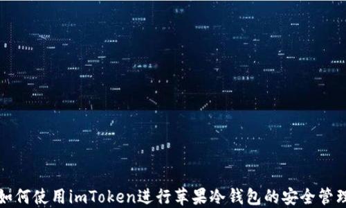 
如何使用imToken进行苹果冷钱包的安全管理