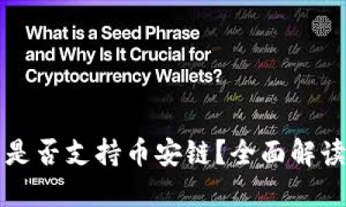 比特币钱包是否支持币安链？全面解读与选择指南