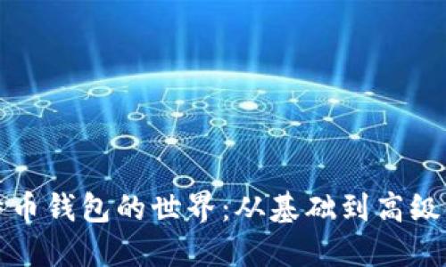 深入比特币钱包的世界：从基础到高级使用技巧