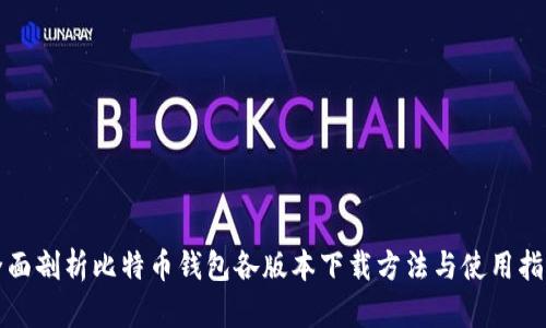全面剖析比特币钱包各版本下载方法与使用指南