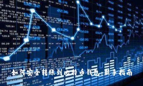 如何安全转账到比特币钱包：新手指南