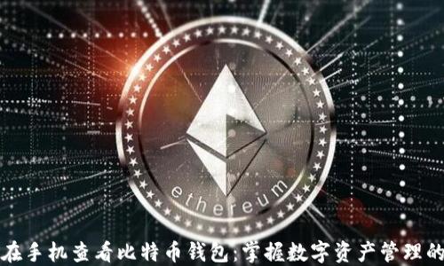 
轻松在手机查看比特币钱包：掌握数字资产管理的技巧