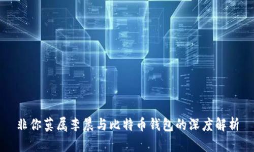 非你莫属李晨与比特币钱包的深度解析