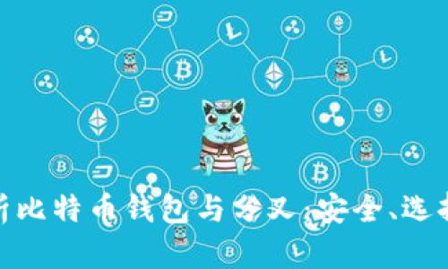 全面解析比特币钱包与分叉：安全、选择与影响