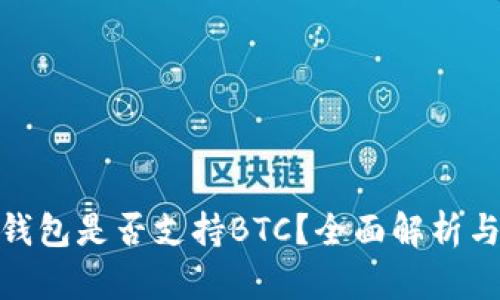 imToken钱包是否支持BTC？全面解析与使用指南