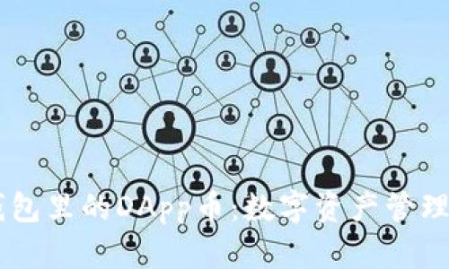 全面解析IM钱包里的DApp币：数字资产管理与使用的未来