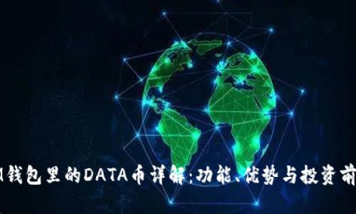 IM钱包里的DATA币详解：功能、优势与投资前景
