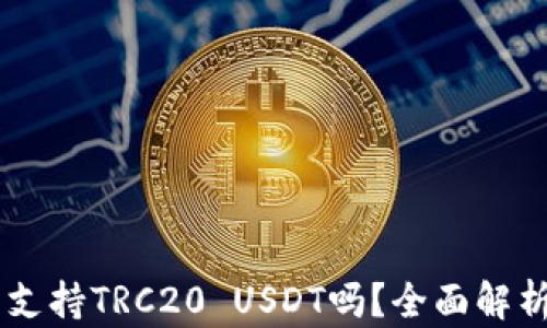 
IM钱包支持TRC20 USDT吗？全面解析与指南
