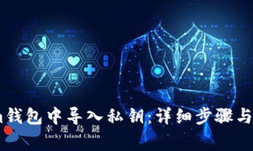 如何在im钱包中导入私钥：详细步骤与注意事项
